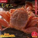 産毛ガニ1尾 650g前後
