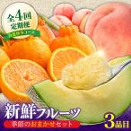旬フルーツ定期便 旬の果物をお任せで3品目お届け
