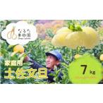 成田果樹園の土佐文旦 7kg