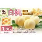 ふるさと納税 桃 2026年 先行予約 岡山 白桃 （品種：白鳳／加納岩白桃） 5〜7玉 合計1.5kg以上 【2026年7月上旬〜7月下旬 発送予定】 もも モモ.. 岡山県美咲町