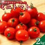 トマト 2kg