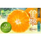 ショッピング甘平 ふるさと納税 【希望の島】 甘平 特選品 大玉 2kg 愛媛県 松山市 中島産 かんぺい 柑橘 贈答用 果物 くだもの フルーツ デザート オリジナルブランド .. 愛媛県