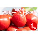 トマト 野菜ソムリエが育てた フルーツトマト 1kg