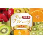 旬のフルーツ定期便 6回 フルーツ 定期便