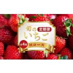 いちごの定期便 4回 Hコース フルーツ 定期便