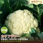 野菜類 カリフラワー 10コ 新鮮 野菜 食感