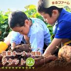 農業 オーナー 体験 2人分 チケット まるファーム
