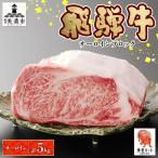 飛騨牛 サーロイン ブロック 和牛