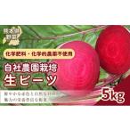 自社農園栽培 生ビーツ5kg ビーツ やさい