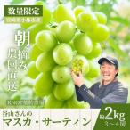 農場直送 朝摘み樹上完熟マスカ サーティン 2kg程度