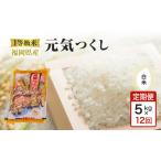 元気つくし 1等級米 白米