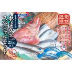 ふるさと納税 【訳あり干物セット】たっぷり25点以上!おざきのひもの「おまかせスペシャルセット」【冷蔵】/ 干物 ひもの 訳あり みりん干し .. 和歌山県串本町