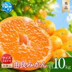 由良みかん 秀品 10kg