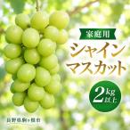 2026年産 シャインマスカット 2kg以上