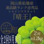 ふるさと納税 【定期便 全2回】 ぶどう 2026年 先行予約 9月・10月発送 高級品 シャインマスカット 晴王 2房 合計約1.2kg ブドウ 葡萄 岡山県.. 岡山県瀬戸内市