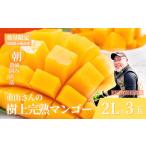 生産農家応援 濃厚果肉 みやざき完熟マンゴー極撰 2L×3玉