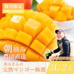 生産農家応援 濃厚果肉 みやざき完熟マンゴー極撰 3L×2玉