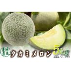 ショッピングふるさと納税 先行予約 ふるさと納税 【2026年発送 先行予約】生産農家応援・もぎたて直送 タカミメロン 5kg程度（メロン フルーツ 果物 くだもの 先行受付 2026 宮崎） 宮崎県小林市