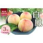 ふるさと納税 桃 2026年 数量限定 白鳳 3玉 計1.0kg以上 岡山県 赤磐市産 岡山県赤磐市
