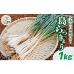 fu.... налог [2026 год 1 месяц .. последовательный отправка ]. рис остров. . способ ..! остров rakkyou 1kg сельское хозяйство дом прямая поставка местного производства свежий . Okinawa остров овощи свежесть соль .. небо .. мясо наматывать.. Okinawa префектура . рис остров блок 