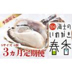 ふるさと納税 先行予約受付：【定期便3回】【2026年 3月以降順次お届け】【生のいわがき春香 Sサイズ6個×3か月】 岩牡蠣 生牡蠣 牡蠣 いわ.. 島根県海士町