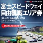 富士スピードウェイ 自由観戦エリア券 SGT
