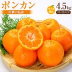 ポンカン 約4.5kg