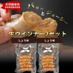 生トン 豚生ウインナー 計10本