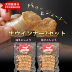 生トン 豚生ウインナー 計10本