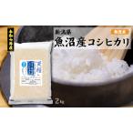 ふるさと納税 新潟産�