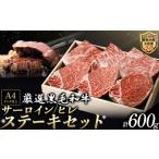 くまもと黒毛和牛 豪華ステーキセット 600g
