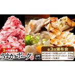 豚肉 うまかポーク 満喫セット 全3回 定期便