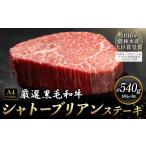 くまもと黒毛和牛 シャトーブリアンステーキ 540g