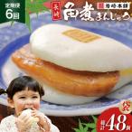 BJ008 岩崎本舗 長崎角煮まんじゅう 8個入