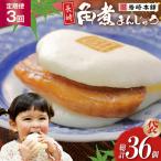 BJ015 岩崎本舗 長崎角煮まんじゅう 12個入