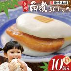 BJ028 岩崎本舗 長崎角煮まんじゅう 10個入