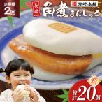 BJ029 岩崎本舗 長崎角煮まんじゅう 10個入