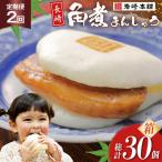 BJ034 岩崎本舗 長崎角煮まんじゅう 15個入