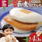 BJ035 岩崎本舗 長崎角煮まんじゅう 15個入
