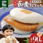 BJ036 岩崎本舗 長崎角煮まんじゅう 15個入