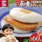 BJ040 岩崎本舗 長崎角煮まんじゅう 20個入