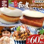 BJ109 岩崎本舗 長崎角煮まんじゅう 10個入