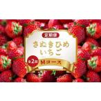 いちごの定期便 2回 Mコース フルーツ 定期便
