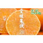 訳あり 愛果28号約2.5kg まどんな
