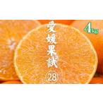 訳あり 愛果28号 約4.0kg