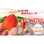 ふるさと納税 いちご狩り40分食べ放題 65歳以上2名 いちご狩り 食べ放題 40分 いちご イチゴ 苺 観光 レジャー 兵庫県 加西市 兵庫県加西市