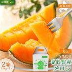 赤肉メロン 糖度15度以上 富良野産