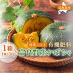 かぼちゃ 特濃こふき 無選別