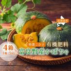 かぼちゃ 特濃こふき 無選別