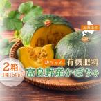 坊ちゃんカボチャ 小玉 無選別